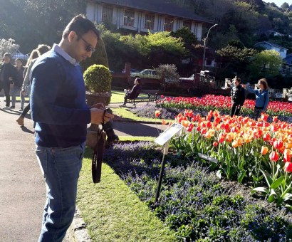 Photographing the Tulips