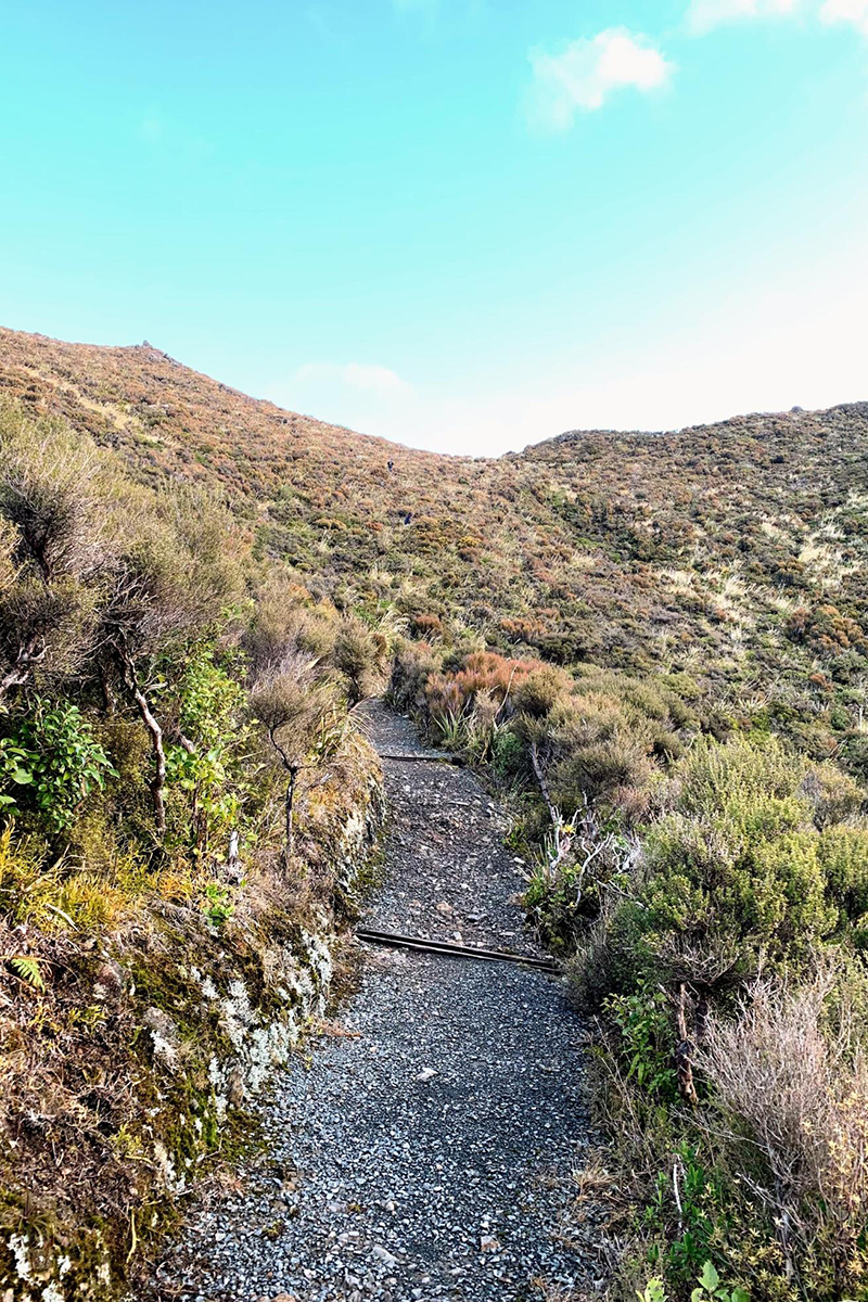 Hiking track on the Rimutaka Hill, Upper Hutt